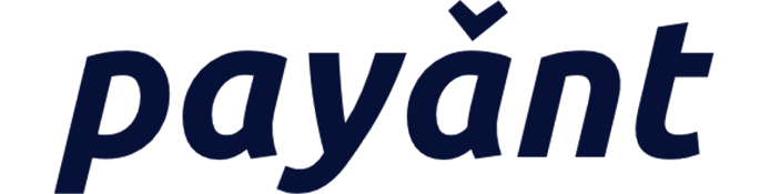 Payant Logo